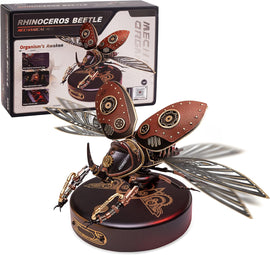Rhinoceros Beetle