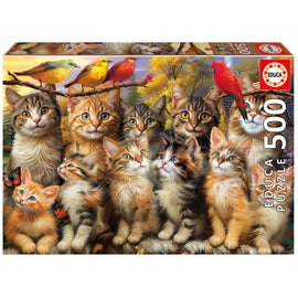 Kittens & Birds