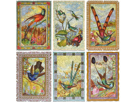 hummingbird collection