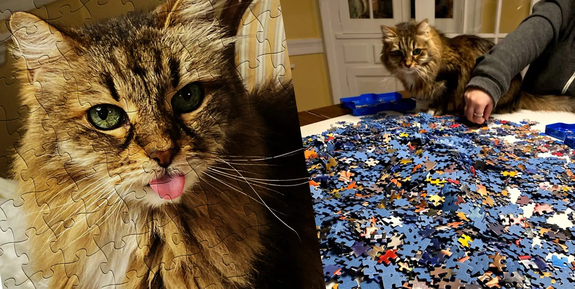 On the left is a finished jigsaw puzzle of a brown cat. On the right is a pile of jigsaw pieces.