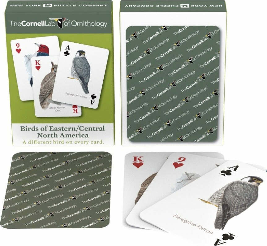 Birds of Eastern/Central North America Playing Cards | EurekaPuzzles