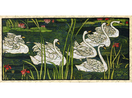 swans art