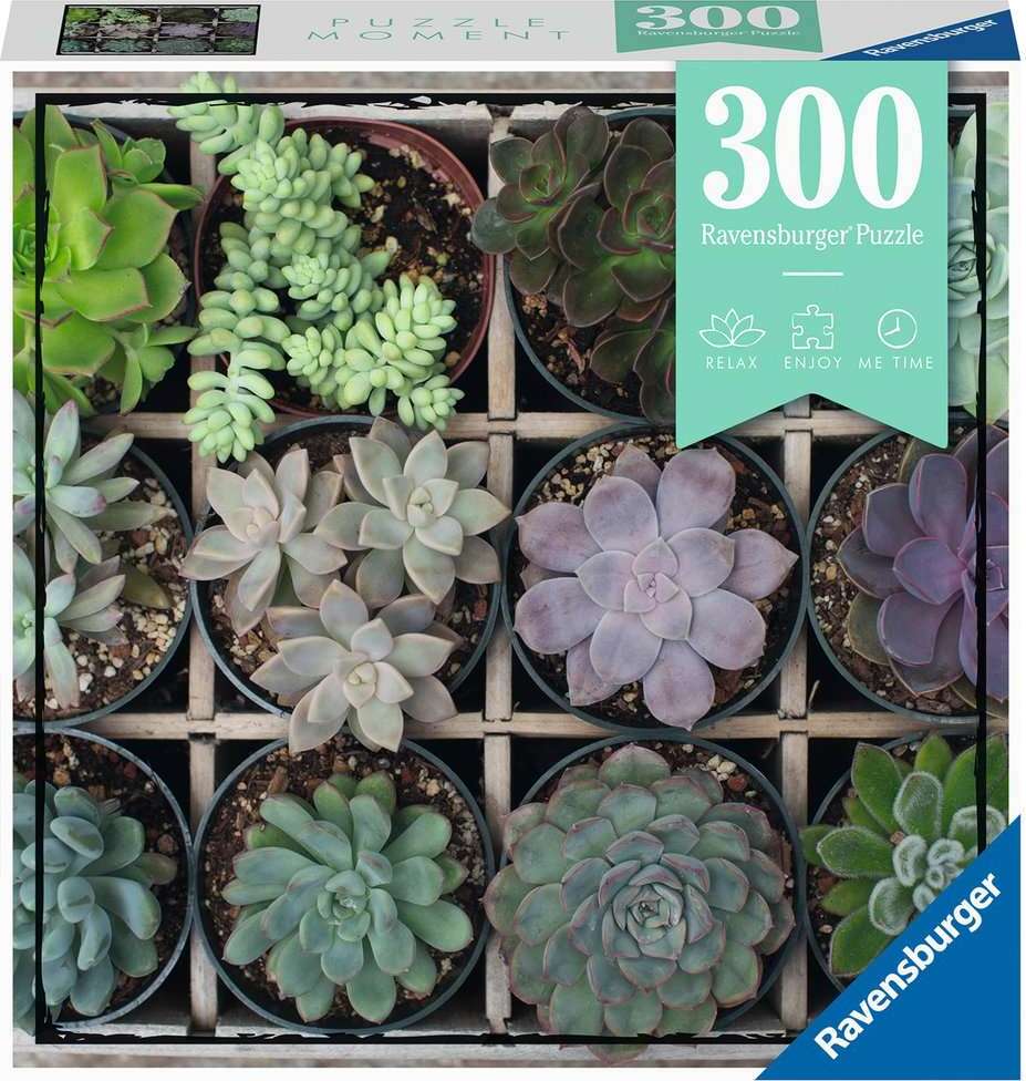 succulent plants puzzle Green