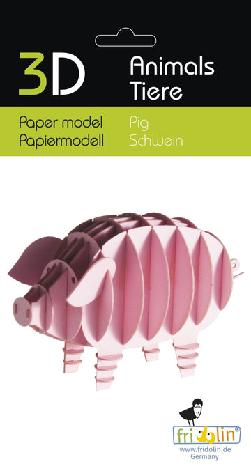 Pig model kit