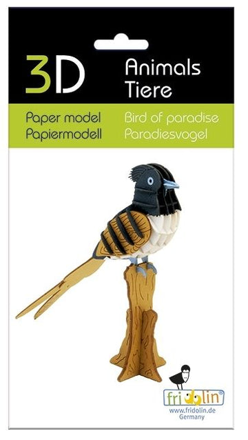 Bird model kit