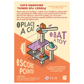 Back of the box with a description of how to play the game