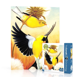 American Goldfinch Mini - 0