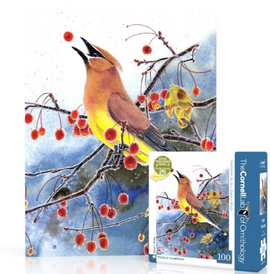Songbird with a yellow belly perched on a snowy tree branch eating a red berry