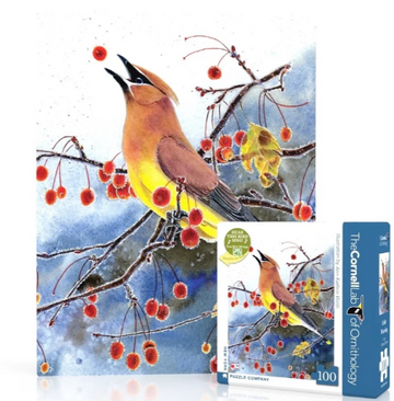 Songbird with a yellow belly perched on a snowy tree branch eating a red berry