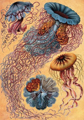 Colorful Jellyfish Jigsaw Puzzle by Artifact Wooden Puzzles featuring intricate designs of various jellyfish, showcasing the beauty of marine life. Perfect for puzzle enthusiasts and ocean lovers.