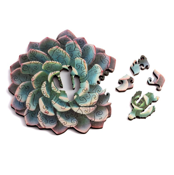A beautifully crafted jigsaw puzzle featuring a mini succulent design. The puzzle is made of interlocking pieces showcasing shades of green and pink. Several pieces are displayed next to the assembled puzzle, illustrating the intricate details and unique shapes of the puzzle pieces.