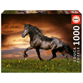 A jigsaw puzzle box titled 'Trotting Horse' by Educa featuring an image of a powerful black horse trotting through a field of flowers under a dramatic sunset sky. The puzzle consists of 1000 pieces, promising an engaging and challenging experience for puzzle enthusiasts.