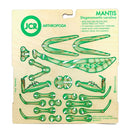 JCR Work Arthropoda Mantis DIY kit featuring intricately designed green parts for assembly. The kit includes tips for assembly and protection recommendations printed on a wooden backing.