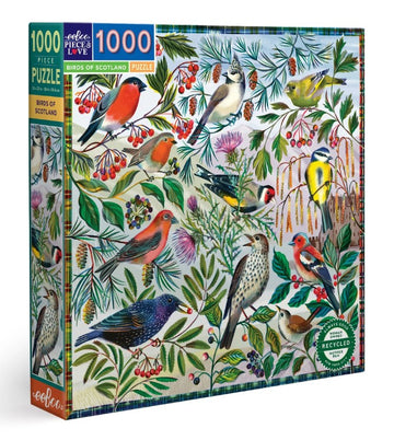 The Birds of Scotland jigsaw puzzle by Eeboo features a vivid illustration of various birds nestled among colorful foliage and berries. The puzzle contains 1000 pieces and showcases beautiful details of the Scottish avifauna, making it a delightful and engaging activity for bird lovers and puzzle enthusiasts alike.