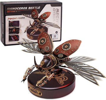 Rhinoceros Beetle