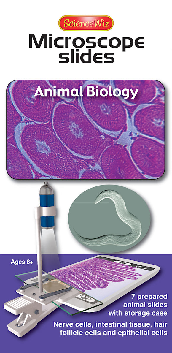 Science Wiz Microscope Slides: Animal Biology kit featuring 7 prepared slides showcasing nerve cells, intestinal tissue, hair follicle cells, and epithelial cells. Includes a storage case for easy organization. Ideal for ages 8 and up.