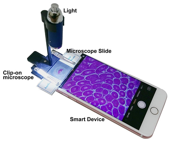 A clip-on microscope attached to a smartphone, displaying a colorful image of a microscope slide featuring bug biology. The setup includes a light source to enhance visibility.