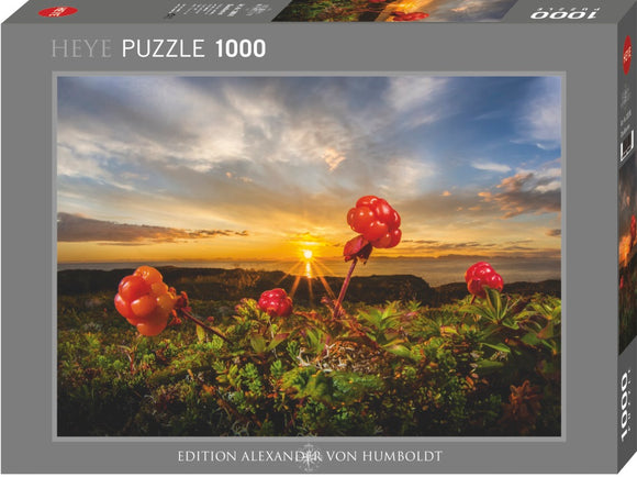 Heye jigsaw puzzle featuring a vibrant photograph of cloudberries with a breathtaking sunset in the background. The puzzle contains 1000 pieces and showcases lush greenery and colorful berries against a dramatic sky.