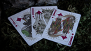 A close-up view of three Under the Moon playing cards by Jocu, featuring unique illustrations of animals adorned with floral crowns. The cards displayed are the Jack, Queen, and King, highlighted against a grassy background.