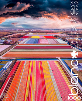 A vibrant jigsaw puzzle titled 'Infinity Fields of the Netherlands' by Blanc Puzzles, featuring an aerial view of colorful tulip fields in various shades of red, yellow, pink, and purple, set against a dramatic sky. The image showcases winding paths through the fields, highlighting the beauty of the Dutch landscape, perfect for puzzle enthusiasts.