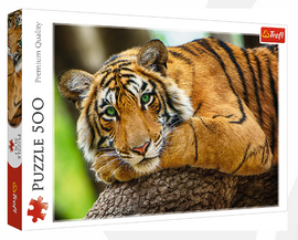 A close-up image of a beautifully detailed tiger lounging on a tree branch, showcasing its striking green eyes and distinctive orange and black stripes. The jigsaw puzzle box, labeled 'Trefl Puzzle 500', displays the premium quality and intricate design of the picture, inviting puzzle lovers to explore its captivating imagery.