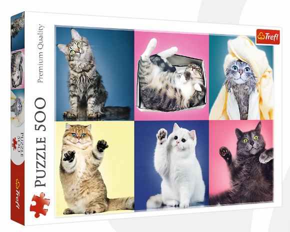 Trefl Kittens jigsaw puzzle featuring six adorable cats in playful poses. The puzzle box displays images of fluffy kittens in various colors and settings, providing a fun and engaging experience for cat lovers and puzzle enthusiasts alike.