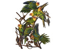 A colorful jigsaw puzzle featuring the Carolina Parakeet, depicting vibrant green birds with peach-colored faces perched on branches. The illustration captures the beauty and detail of these historical birds, making it an engaging puzzle for enthusiasts.