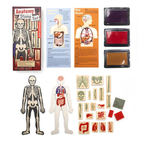 The Anatomy Stamp Set by Kikkerland features a colorful box containing anatomical stamps, ink pads in various colors, and informative cards about the digestive system and vital organs. The set includes a wooden skeleton figure and detailed stamps of body parts for educational activities.