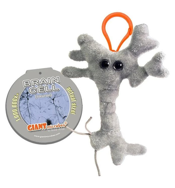 A plush keychain in the shape of a brain cell, showcasing its neuron structure with a gray texture and black eyes. The keychain features an orange clip, and is accompanied by a circular tag that reads 'Brain Cell (Neuron)' with scientific details on the back, created by Giantmicrobes.