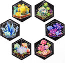 A jigsaw puzzle featuring six hexagonal wall tiles with vibrant illustrations of succulents in geometric terrariums. Each tile showcases different colorful succulent plants against a black background, creating a modern and artistic look.