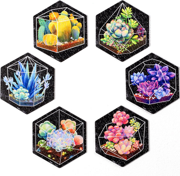 A jigsaw puzzle featuring six hexagonal wall tiles with vibrant illustrations of succulents in geometric terrariums. Each tile showcases different colorful succulent plants against a black background, creating a modern and artistic look.