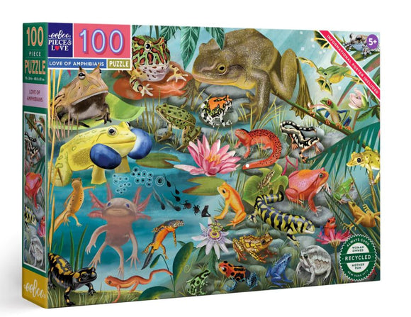 Colorful jigsaw puzzle box featuring the 'Love of Amphibians' design by Eeboo. The artwork showcases various amphibian species in a vibrant, lush environment, including frogs and salamanders, with a flower and stones. The puzzle contains 100 pieces and is suitable for ages 5 and up. It highlights environmental awareness and includes an informational poster.