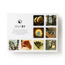 The OuiSi Original: Games of Visua is a creative game featuring 210 connecting photo cards designed to inspire imagination and foster interaction. The box art showcases a grid of vibrant images of hands, feet, and everyday objects, reflecting the game's focus on visual connection and playful creativity.