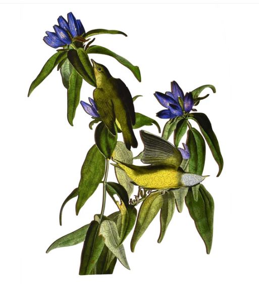 Connecticut Warbler jigsaw puzzle by Liberty Puzzles features a beautifully detailed illustration of two colorful birds amidst lush green leaves and vibrant blue flowers, showcasing intricate natural scenery.