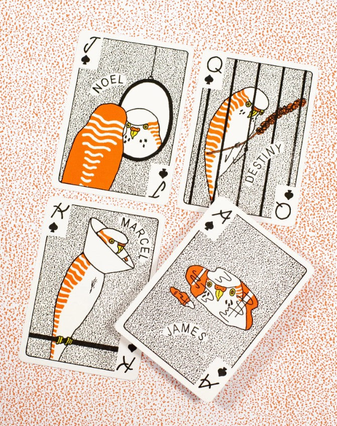 A set of Budgie playing cards featuring whimsical illustrations of budgerigars. Each card showcases a different budgie character with playful designs, including 'Noel', 'Destiny', 'Marcel', and 'James'. The colorful artwork is complemented by a speckled background, making the cards visually appealing for games or collectible purposes.