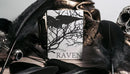 The Raven Black Dusk Playing Cards by WJPC, featuring a striking design with silhouettes of a raven amid intricate branches against a stark white background. The card box is surrounded by dark feathers and a skull, enhancing its mysterious and gothic theme.