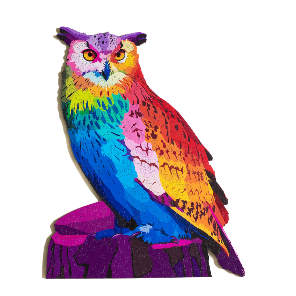 A HOOT OF MANY COLORS PUZZLE