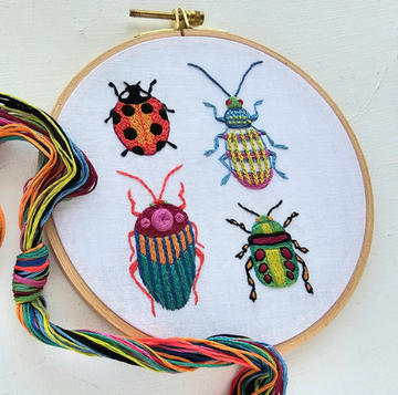 An embroidery hoop displaying a colorful beetle collection featuring four intricately stitched designs of ladybugs and other beetle species, accompanied by vibrant embroidery threads.