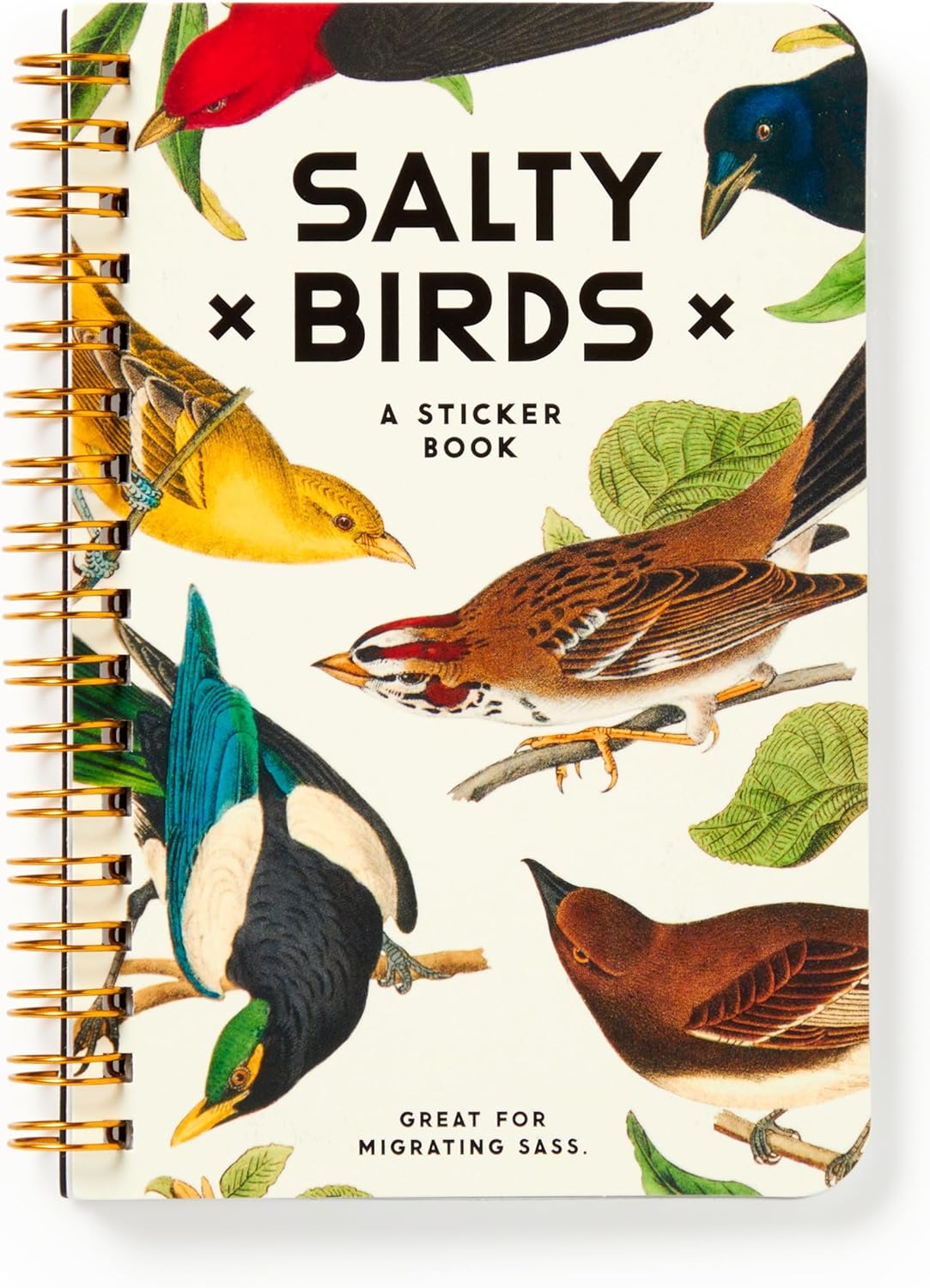 The Salty Birds Sticker Book by Brass Monkey features a colorful cover adorned with illustrations of various birds perched on branches, surrounded by leaves. It has a spiral binding and the title prominently displayed in bold letters, with a phrase at the bottom suggesting it's great for 'migrating sass.'