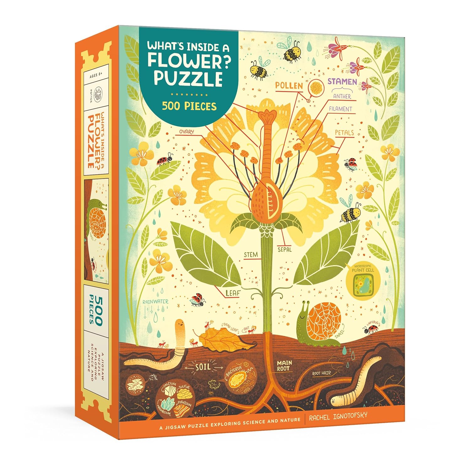 A colorful jigsaw puzzle box titled 'What's Inside a Flower? Puzzle' featuring a vibrant illustration of a flower anatomy. The design highlights flower parts like petals, stamen, and pollens with labels. The background depicts soil and root systems, showcasing worms and insects, engagingly exploring science and nature. Suitable for ages 8 and up, this 500-piece puzzle provides an educational and fun experience.