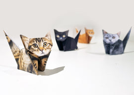 Paper Cats