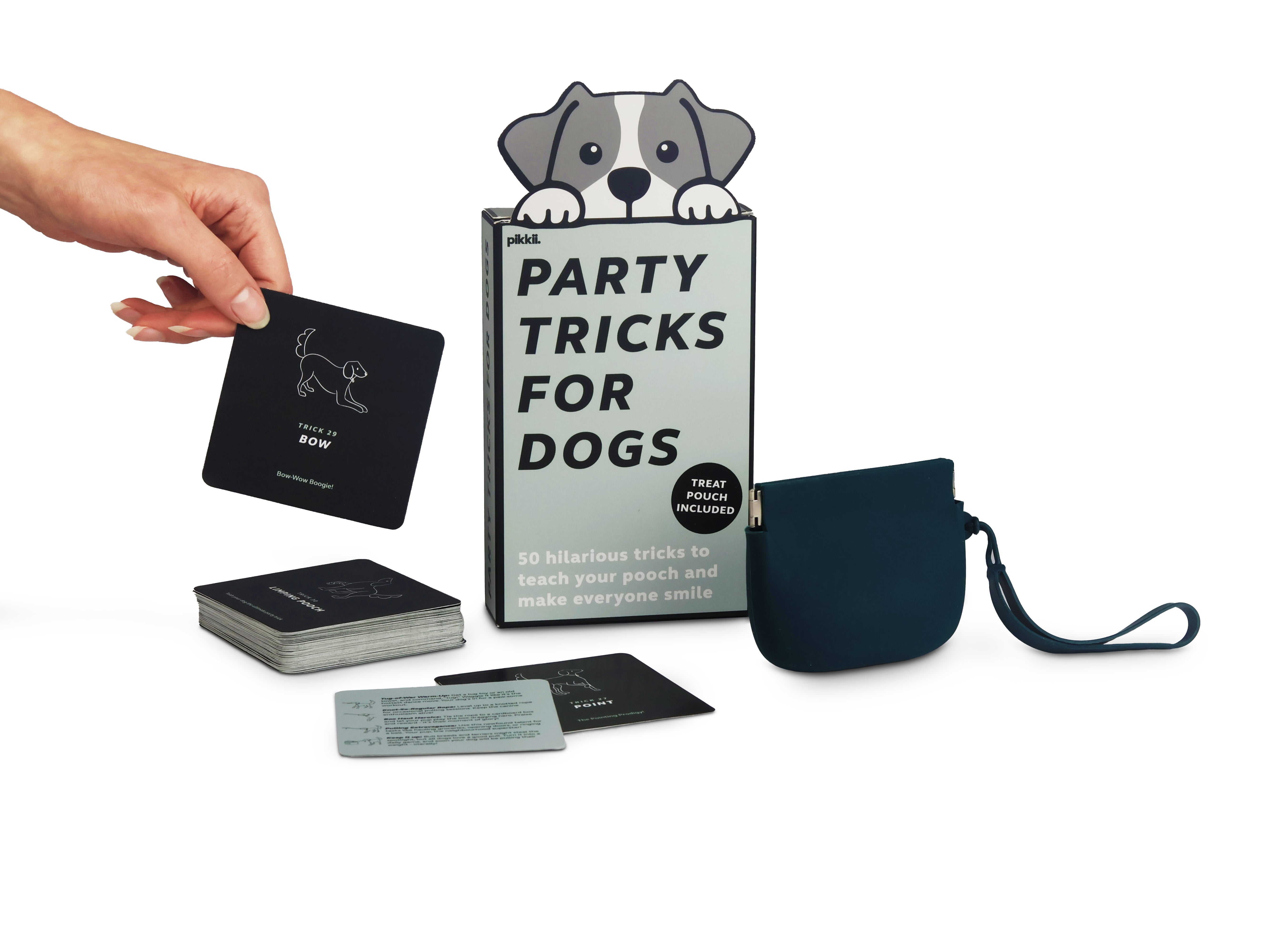 Party Tricks for Dogs