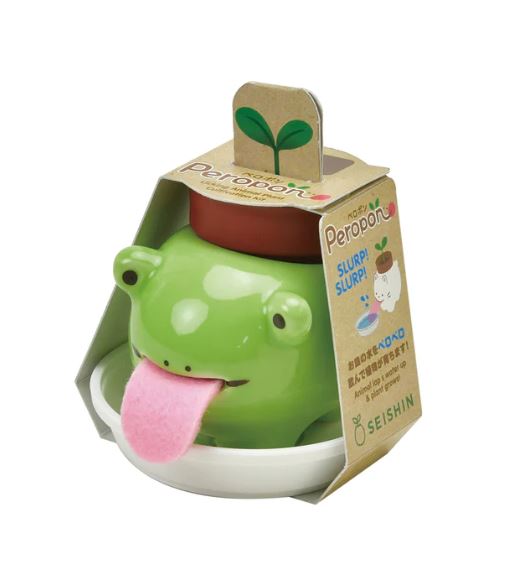 Frog Peropon Plant Pot