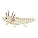 3D Paper Model Axolotl