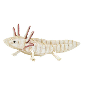 3D Paper Model Axolotl