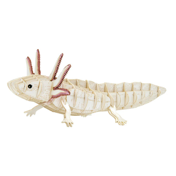 3D Paper Model Axolotl