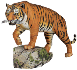 Bengal Tiger