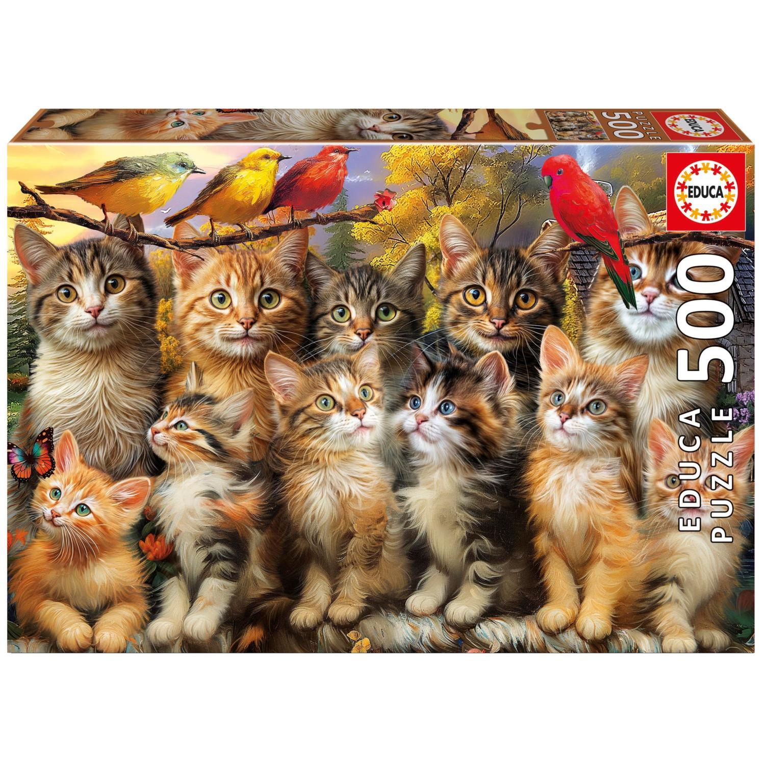 Kittens & Birds