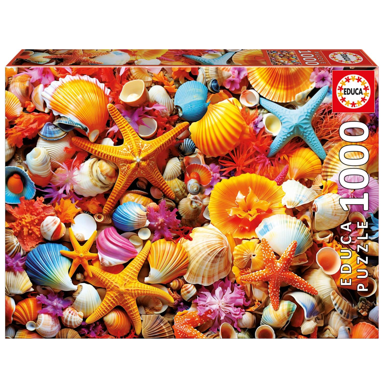 Shell Collage