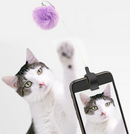 Kitty Phone Clip